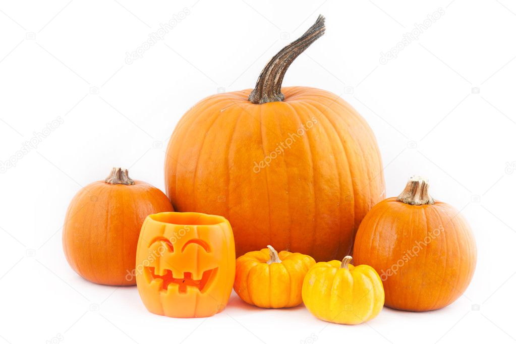 Many orange halloween pumpkins