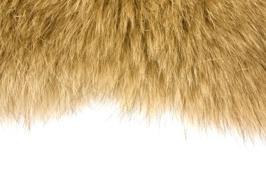 Fur texture background clipart