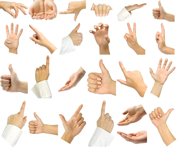 Collection hands — Stock Photo, Image