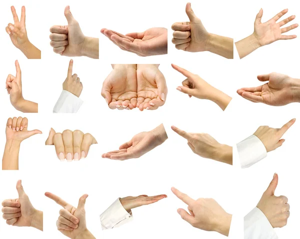 Collection hands — Stock Photo, Image