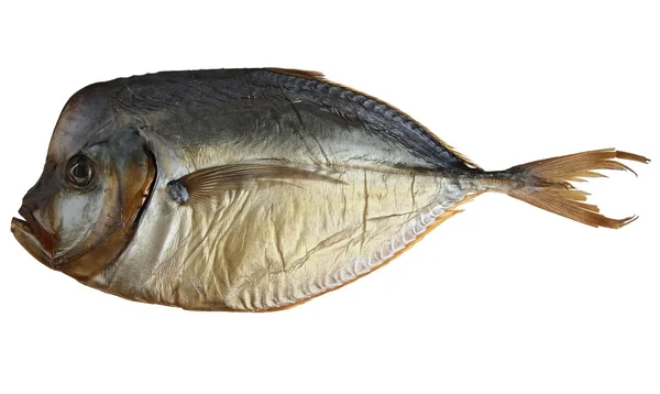 Висушена риба — стокове фото