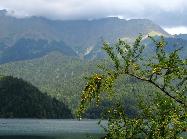 Yüksek dağlık göl — Stok fotoğraf