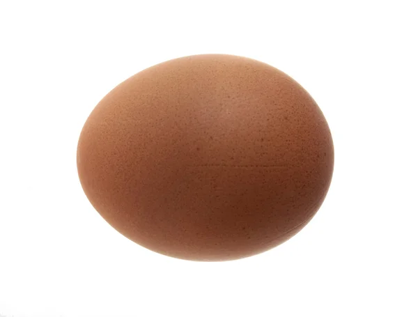 Jedno jajko. — Zdjęcie stockowe