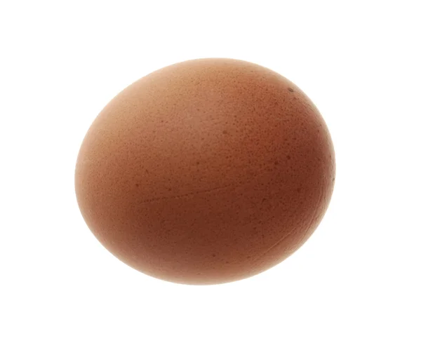 Un ou — Fotografie, imagine de stoc