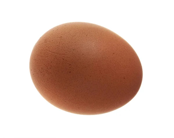 Ett ägg — Stockfoto