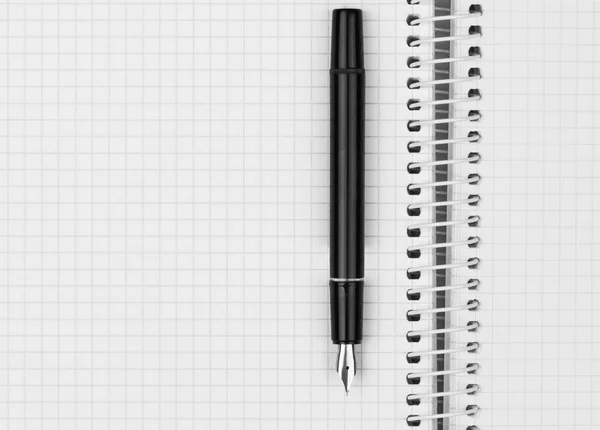 Чернильная ручка на блокноте — стоковое фото