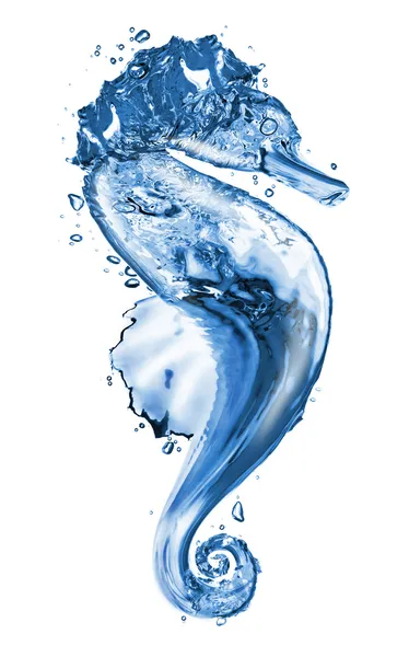 Wasser Seepferdchen — Stockfoto