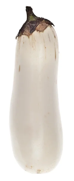 Vit albino aubergine — Stockfoto