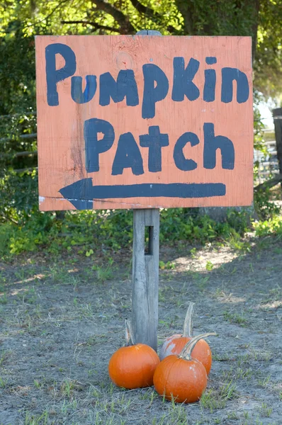 Autumn Fall Halloween Pumpkin Patch — Stock Photo, Image