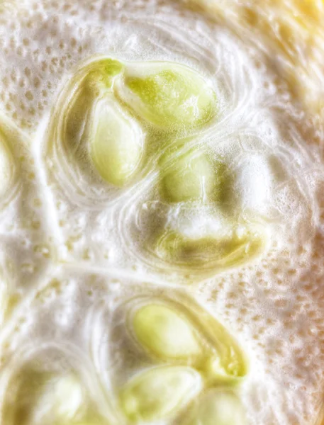 Artistieke plantaardige close-up gele squash — Stockfoto