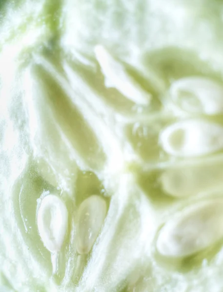 stock image Artistic Vegetable Close Up Cucumber