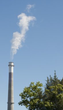 ön planda ağaçları ile duman yığını