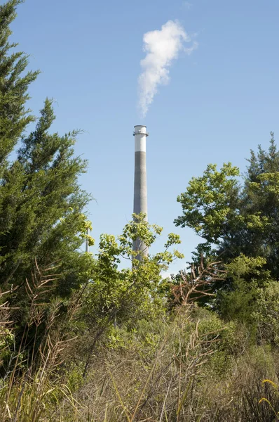 Smoke Stack with Trees in Foreground — Stock Photo, Image