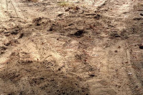 Следы шин в грязи Стоковое Фото