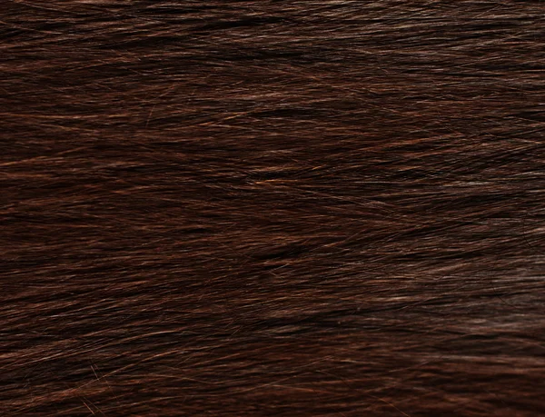 Hair sleek brown female — Stock Photo, Image