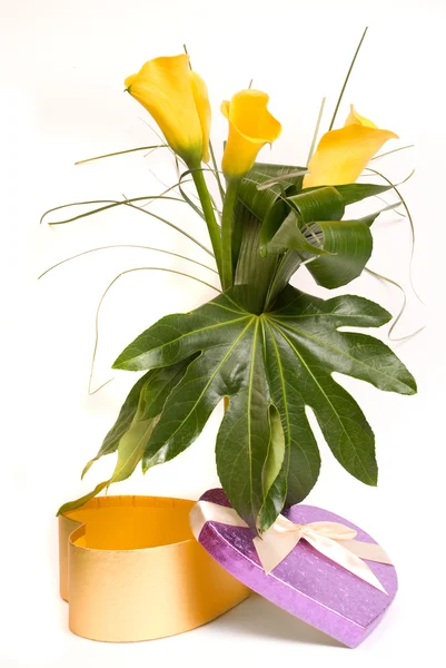 Bouquet di calli gialli e scatola regalo su bianco — Foto Stock