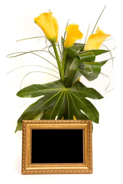 Hermoso ramo de calas y marco dorado sobre un blanco — Foto de Stock