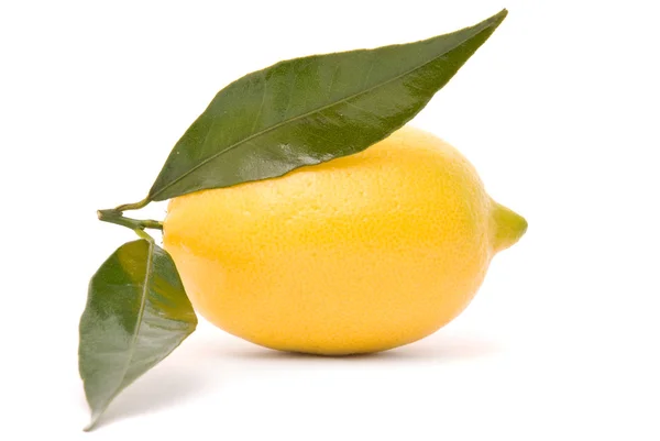 Succosa limone isolato su uno sfondo bianco . — Foto Stock