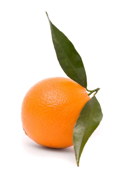 Succosa arancia isolata su uno sfondo bianco . — Foto Stock
