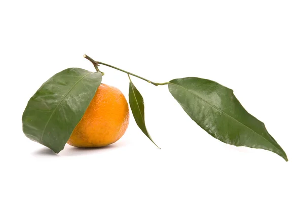 Mandarina jugosa aislada sobre un fondo blanco . — Foto de Stock