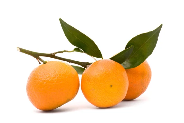 Šťavnatá mandarinka, izolovaných na bílém pozadí. — Stock fotografie