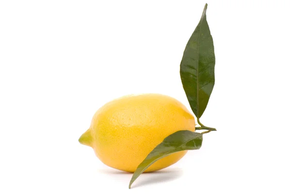Juicy λεμονιού απομονωθεί σε λευκό φόντο. — Φωτογραφία Αρχείου