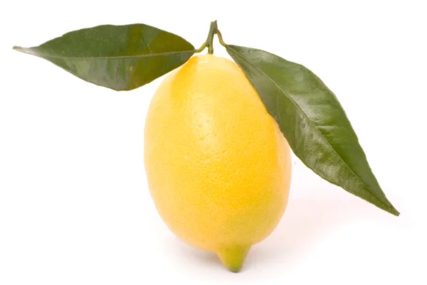 Juicy λεμονιού απομονωθεί σε λευκό φόντο. — Φωτογραφία Αρχείου