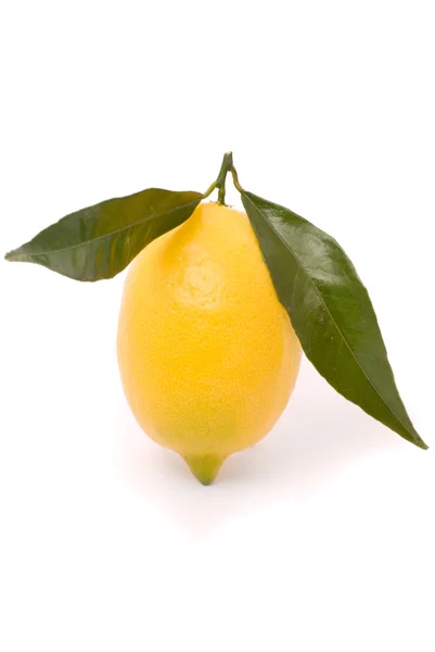 Limão suculento isolado em um fundo branco . — Fotografia de Stock