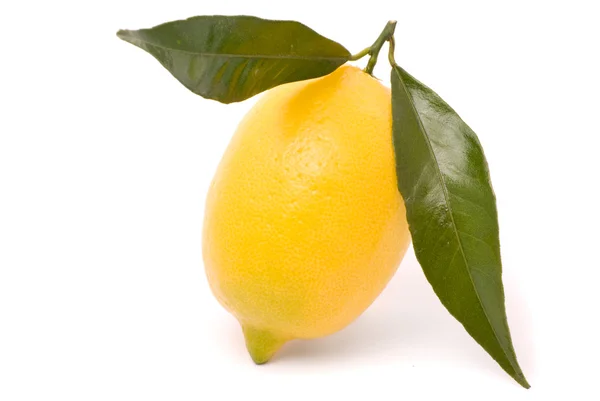 Limón jugoso aislado sobre un fondo blanco . — Foto de Stock