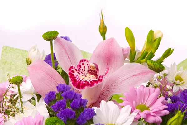 Nádherná kytice na bílé — Stock fotografie