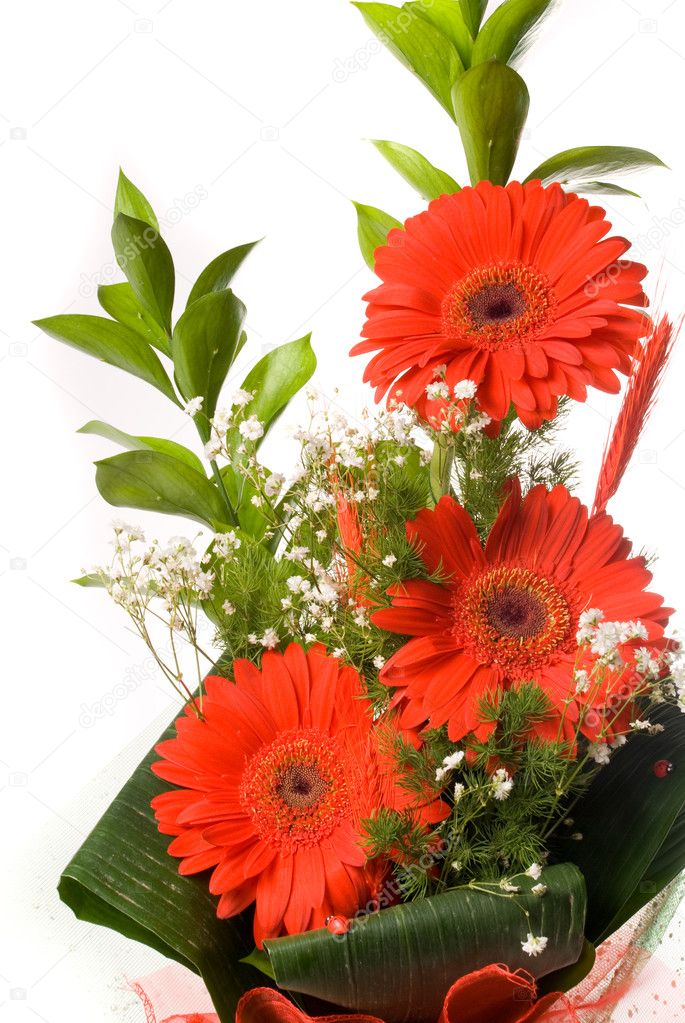 Magnificent bouquet gerbera on a white