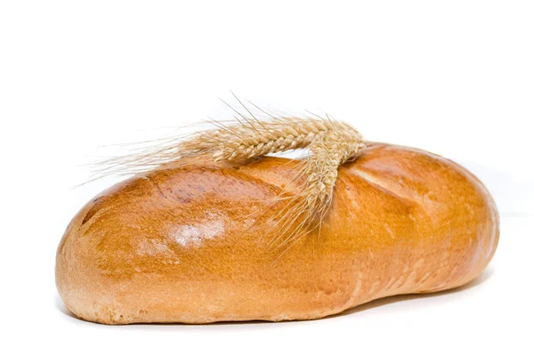 Pão longo em um fundo branco . — Fotografia de Stock