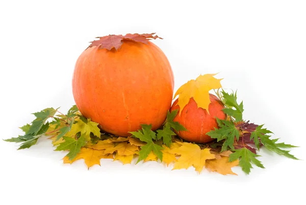 Kürbisse mit Herbstblättern auf weißem Hintergrund — Stockfoto