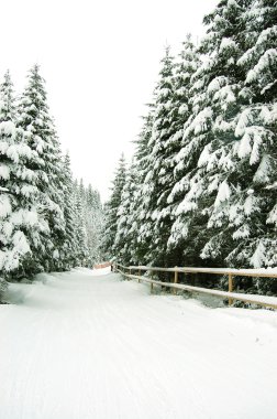 ahşap dağ Kayak hattı