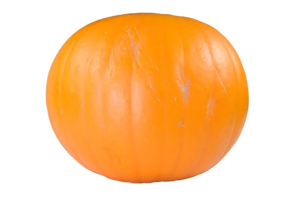 Великий помаранчевий гарбуза — стокове фото