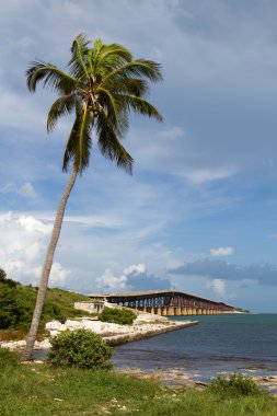 Bahia Honda Key Florida clipart