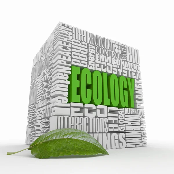 Was ist eine Ökologie? — Stockfoto