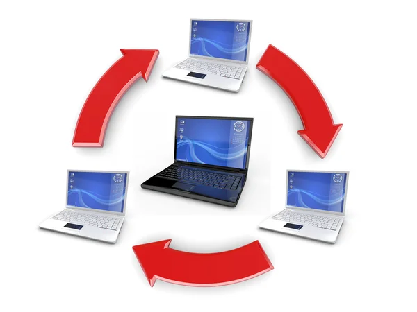 Netzwerk. viele Laptops auf weißem Hintergrund — Stockfoto