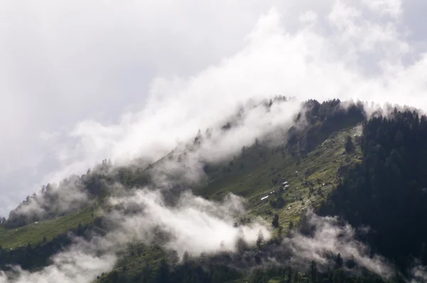 Raios lutam através do nevoeiro nas montanhas — Fotografia de Stock