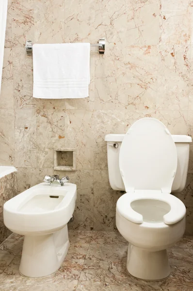 Toaleta i bidet — Zdjęcie stockowe