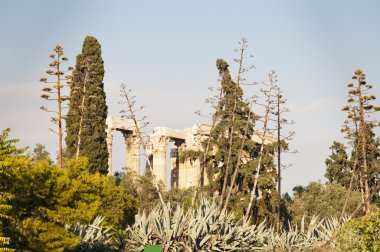 olimpian Tapınağı zeus, Atina, Yunanistan