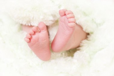 Close up of baby feet clipart