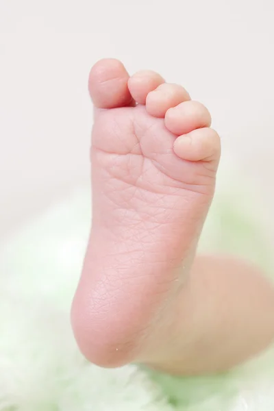 Gros plan des pieds de bébé — Photo