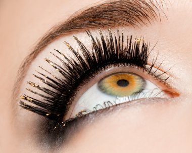 Close-up of beautiful womanish eye clipart