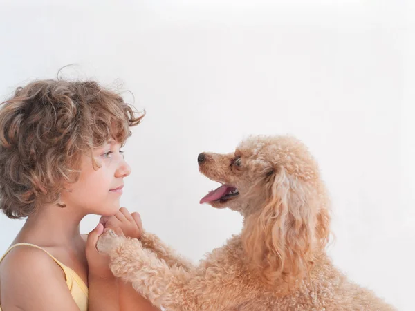 Onun oyuncak fino köpeği ile genç kız — Stok fotoğraf