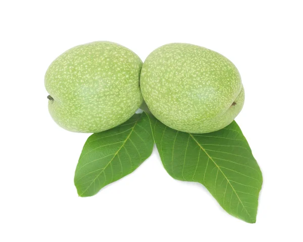 Zelené vlašské ořechy — Stock fotografie