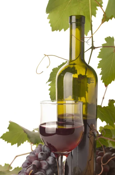 Ripe grapes, wine glass and bottle of wine — Stock Photo, Image