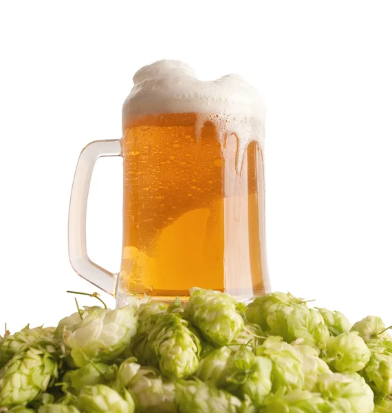 Un vaso con cerveza y un lúpulo —  Fotos de Stock
