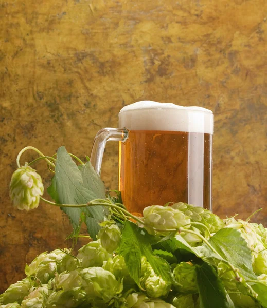 Μπύρας με λυκίσκο — Φωτογραφία Αρχείου