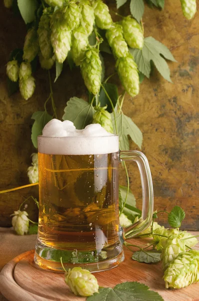 Cerveza con lúpulo —  Fotos de Stock